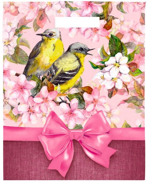 пакеты выр.30х40 Весенние птицы 70мкм ЛАМ 2А ШК