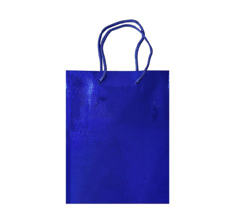 сумка гологр. 18х23 *